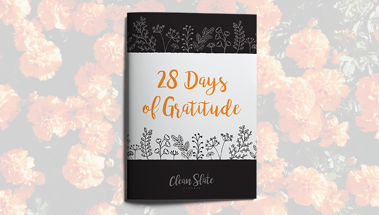28daysofgratitude_cleanslatecleanse 28daysofgratitude_cleanslatecleanse